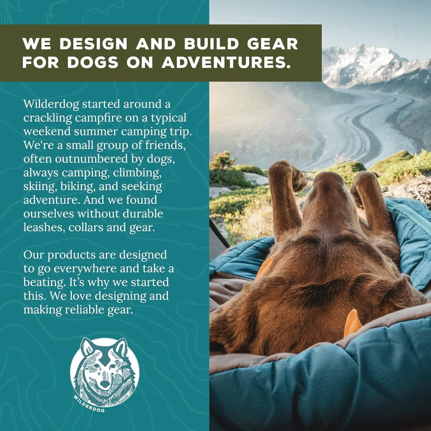 Wilderdog Lightweight Dog Harness with Reflective Straps - Medium - Huckleberry