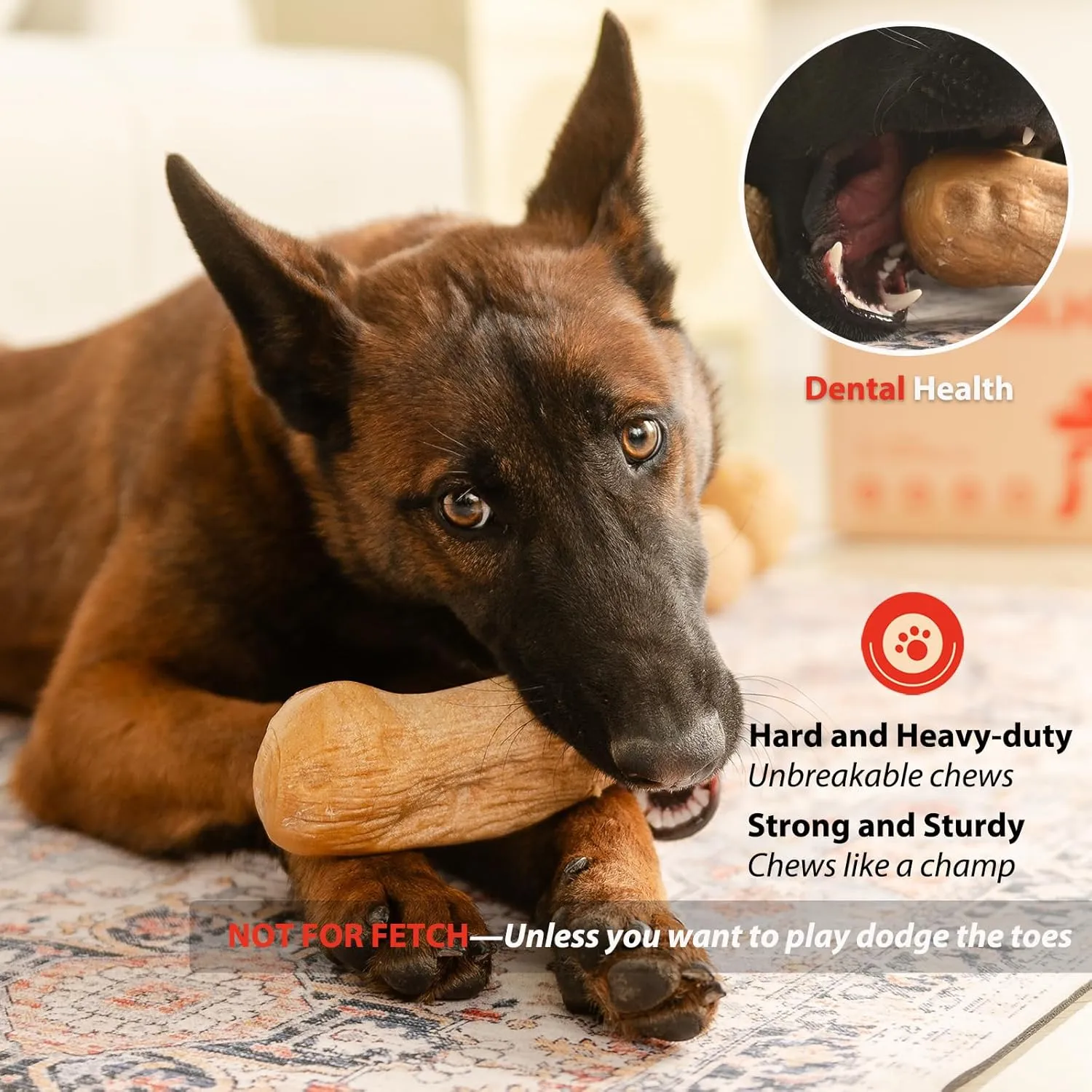 Willjoy 2-Pack Tough Dog Toys for Aggressive Chewers, Pine Wood and Nylon Dog Chew Toys, Aggressive Chew Toys for Large Dogs, Bacon Indestructible Dog Toy, Large Dog Toys to Keep Them Busy