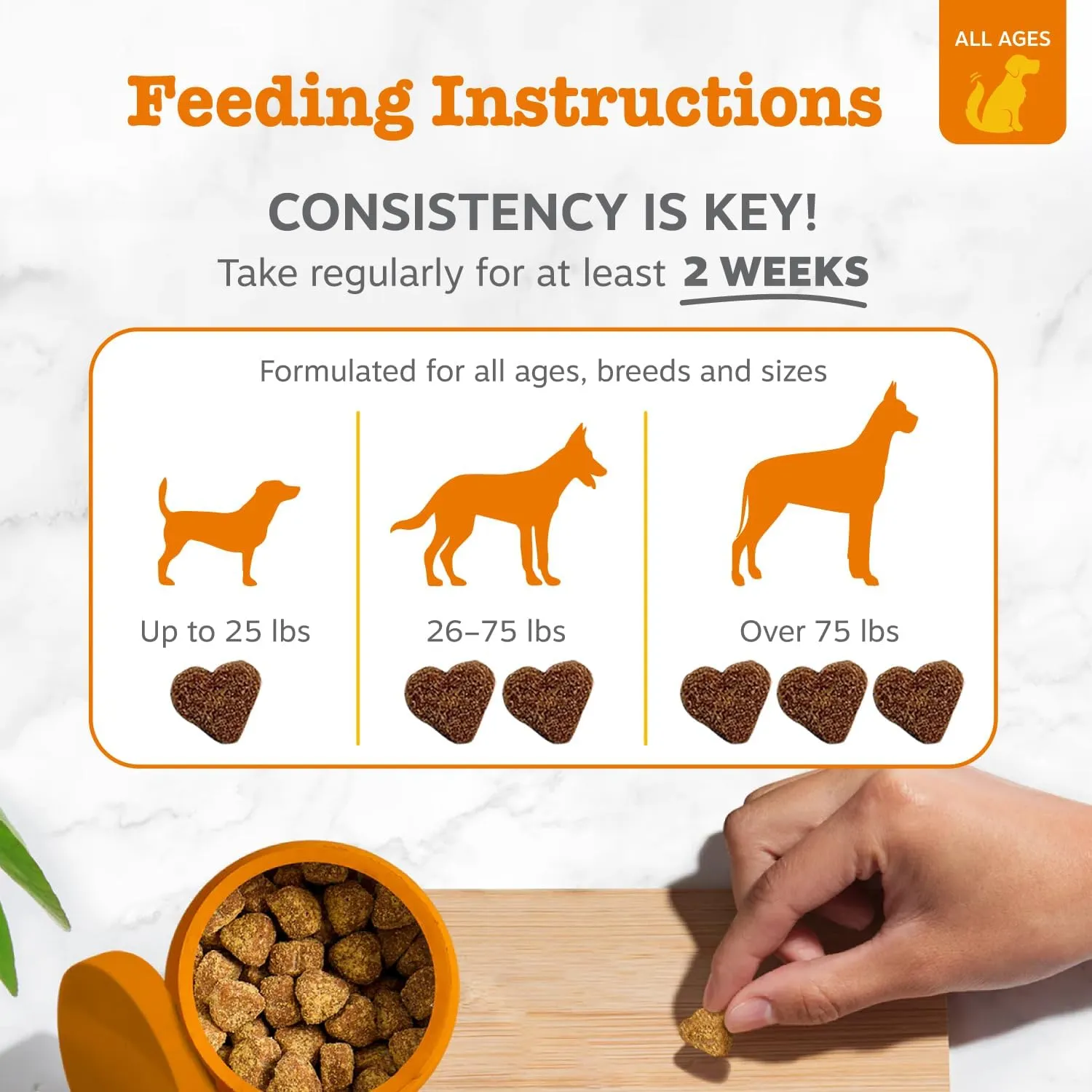 Zesty Paws Dog Allergy Relief- Dog Itching Skin Relief- Dog Probiotics for Itchy Skin and Itchy Ears- Dog Allergy Paw Relief- Dog Allergy Chews- Dog Itch Relief- Dog Skin Allergy Relief- Salmon- 90ct