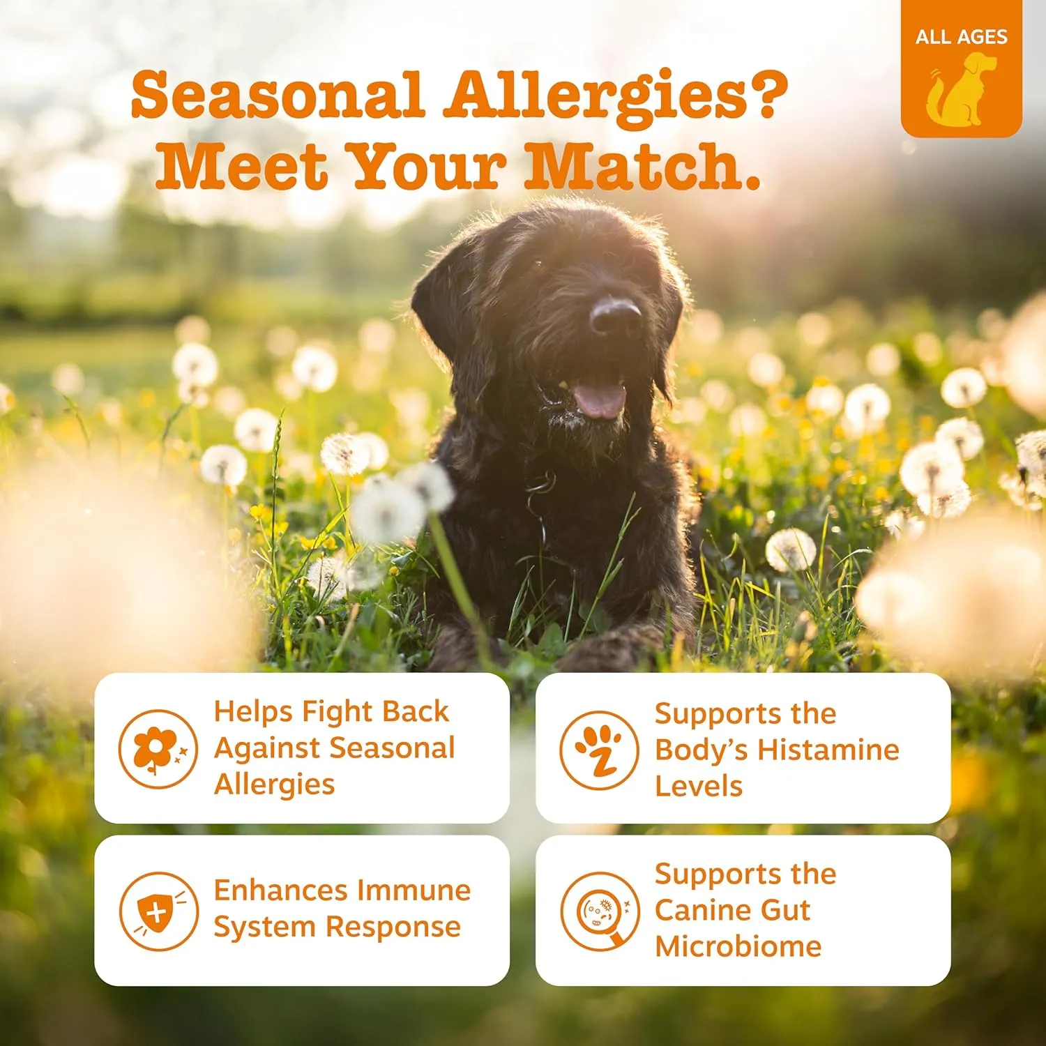 Zesty Paws Dog Allergy Relief- Dog Itching Skin Relief- Dog Probiotics for Itchy Skin and Itchy Ears- Dog Allergy Paw Relief- Dog Allergy Chews- Dog Itch Relief- Dog Skin Allergy Relief- Salmon- 90ct